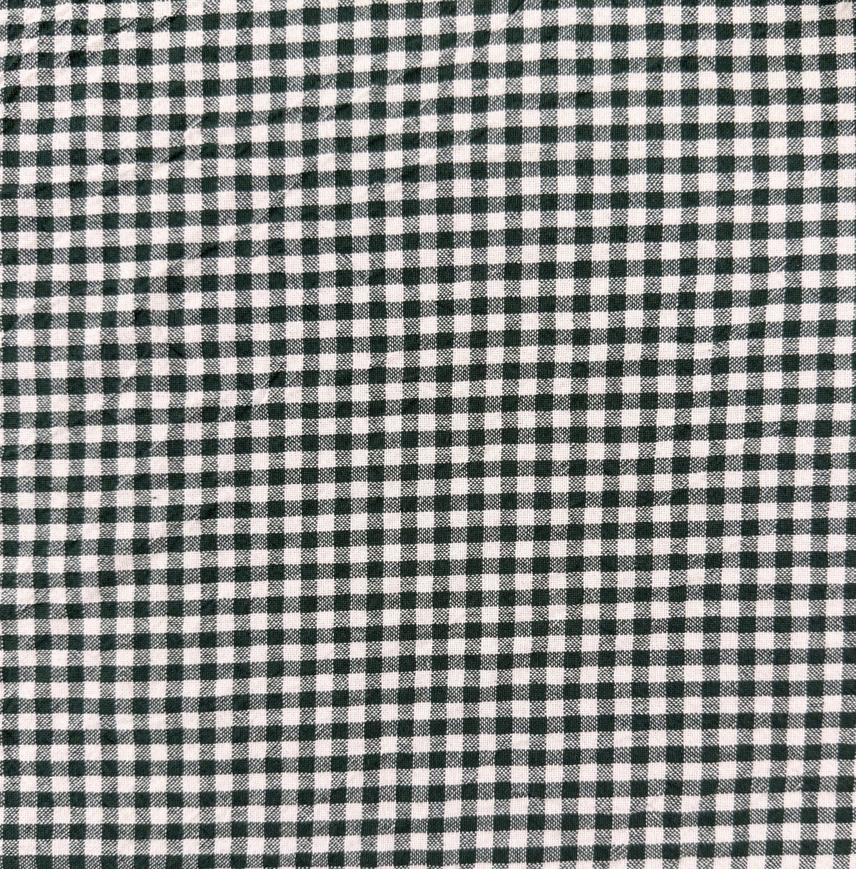 Organic Yarn Dyed Cotton - Pine Gingham